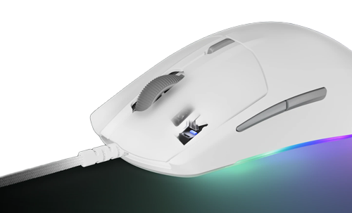 cutout of mouse front with internal micro switch shown