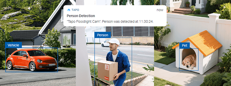 AI detection identifying person, vehicle and pet via a blue square outline around the subject.