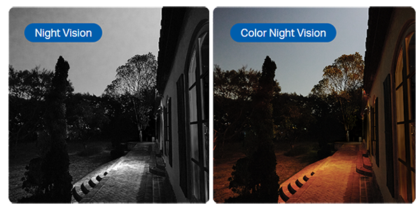 Garden images, one with night vision, other with colour night vision.