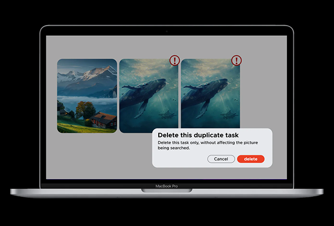 Duplicate photo of whale being deleted in UGOS pro