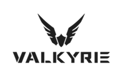 Valkyrie logo.