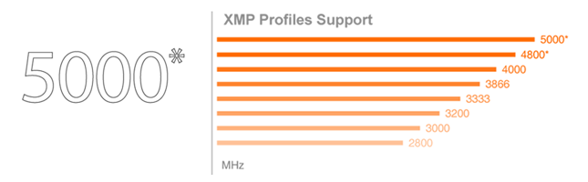 XMP