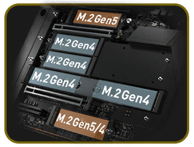 Metal Backplate