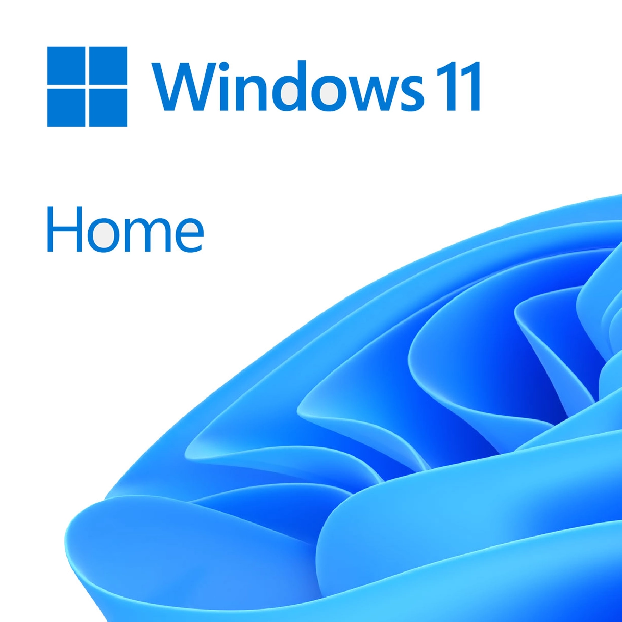 Operating System