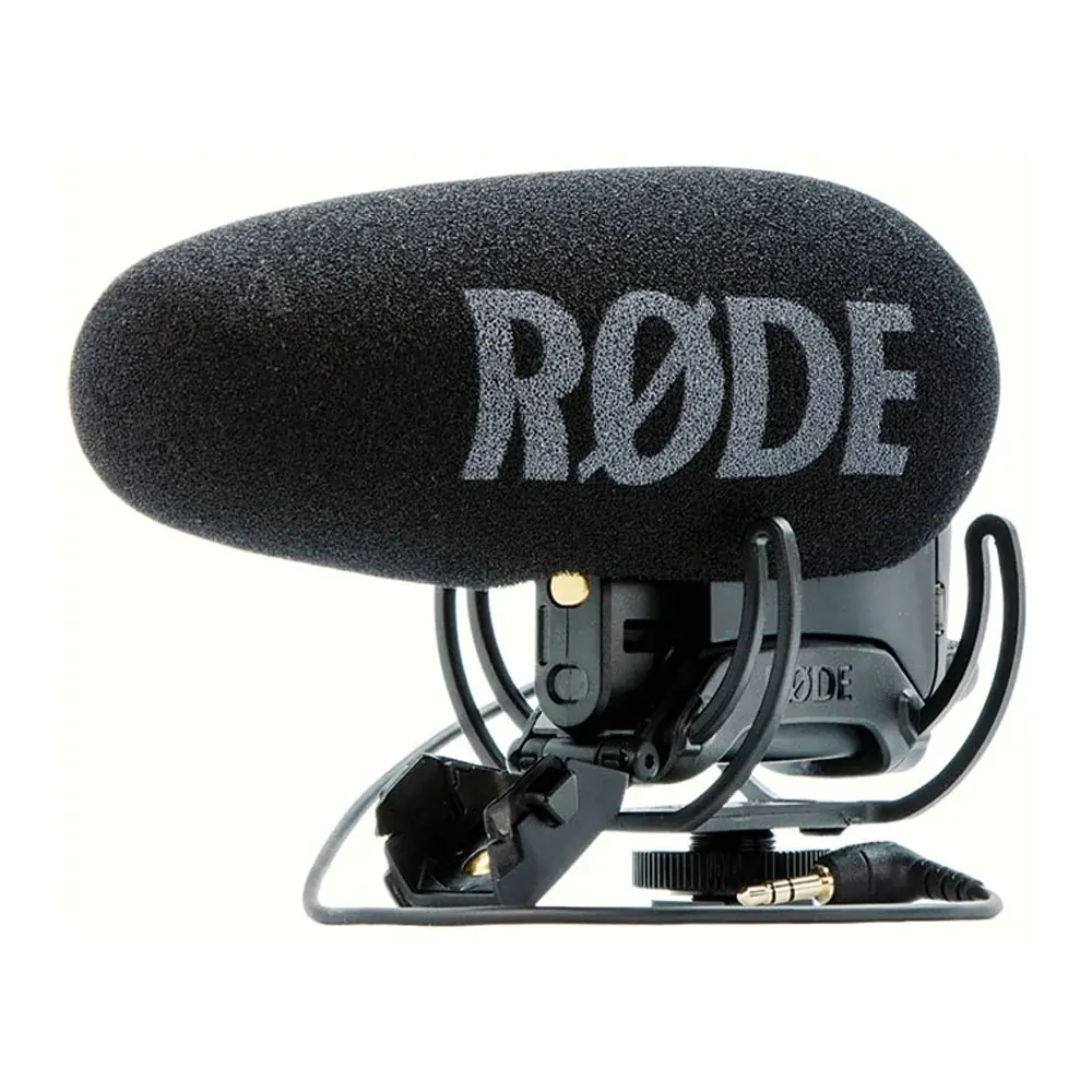 Camera microphone