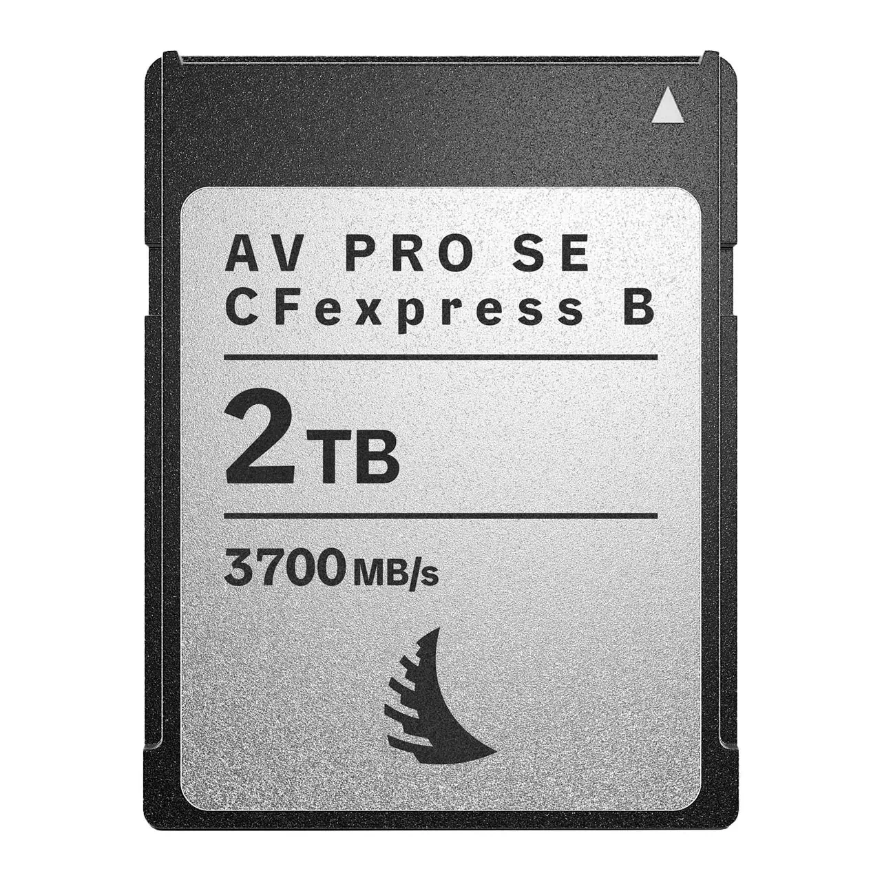 Camera memory card