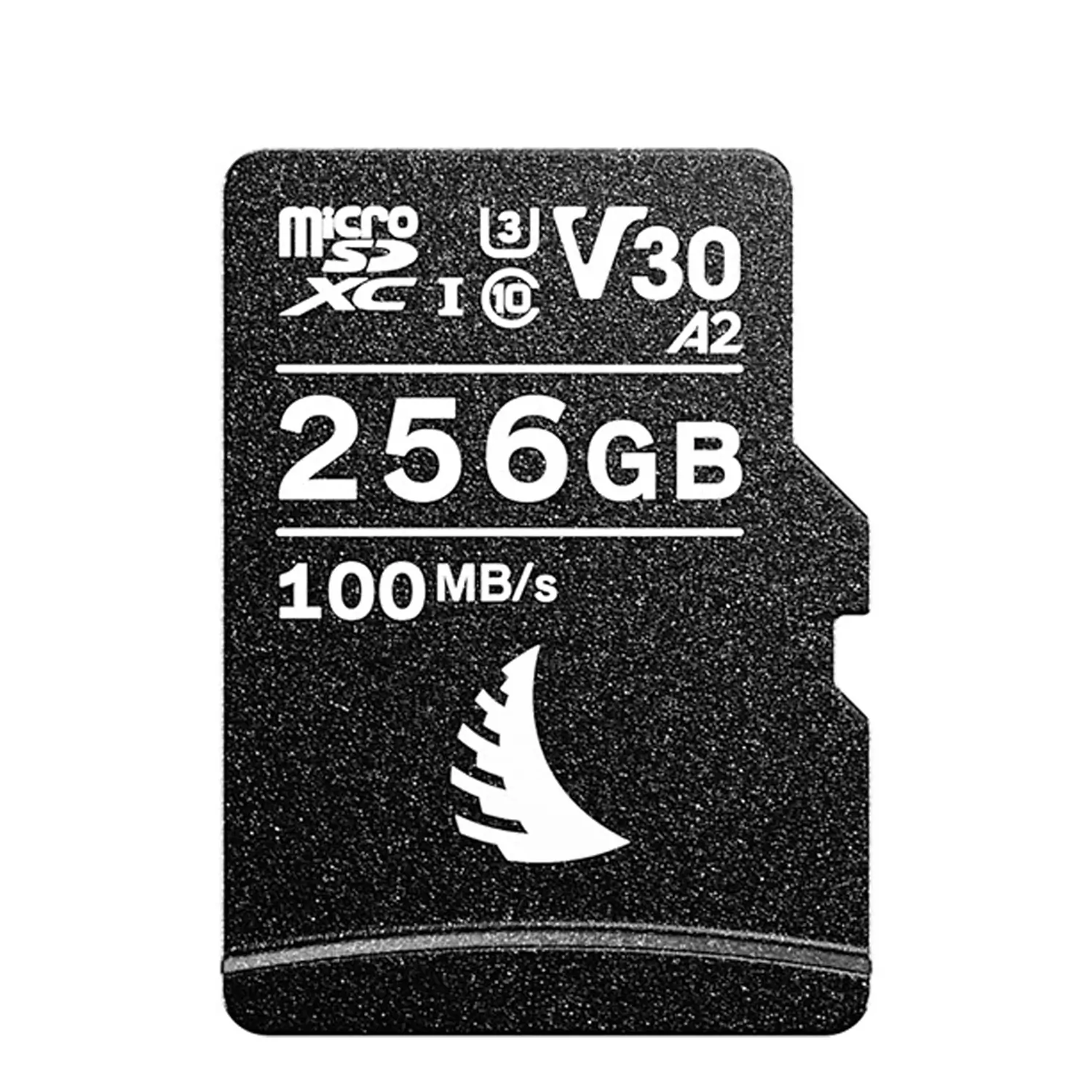 Micro SD Card image