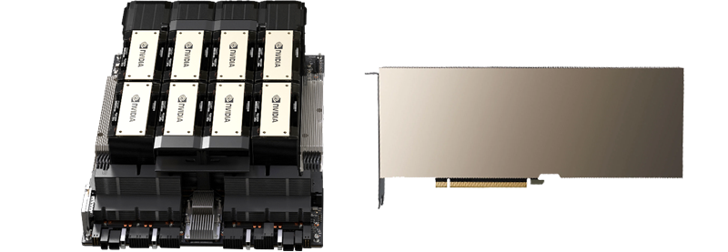 Server GPU Accelerators