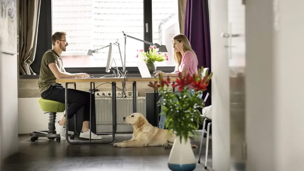 External storage for the home office