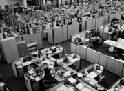For the Large Organisation