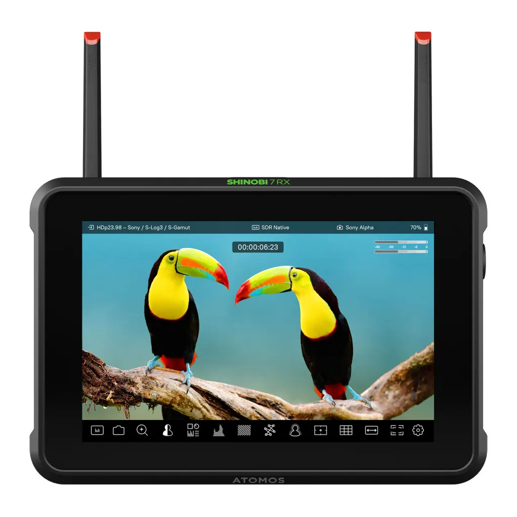 On camera monitors image