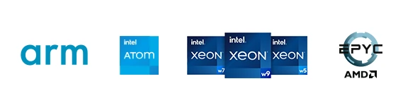 NAS processor illustration highlighting different CPU classes and performance levels