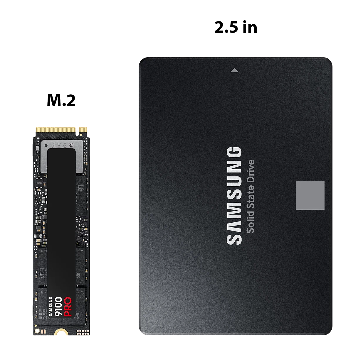 Visual comparison of SSD formats including M.2, U.2, and SATA