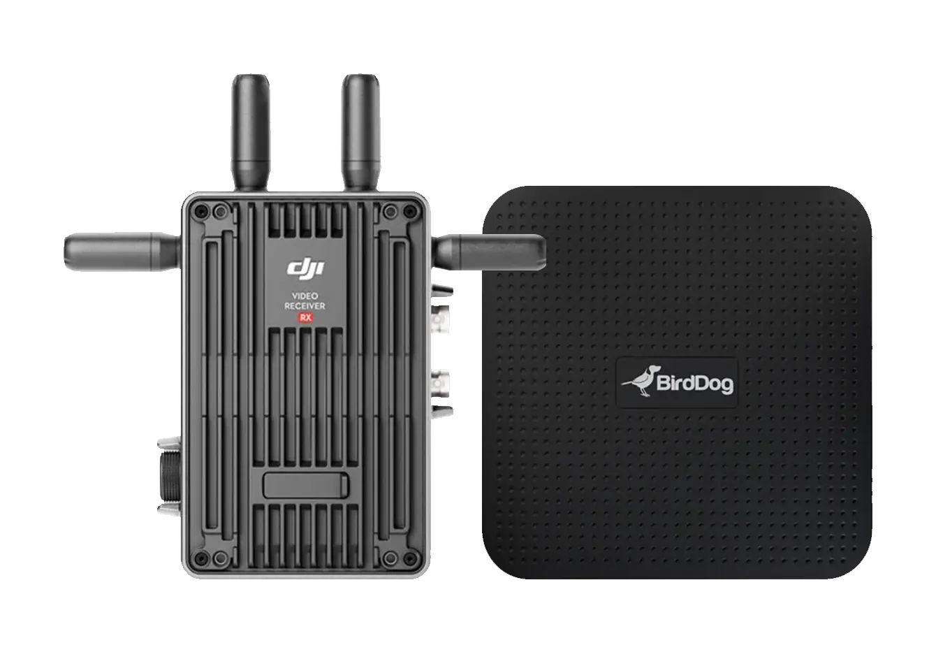 Lorem ipsum products ready to purchase