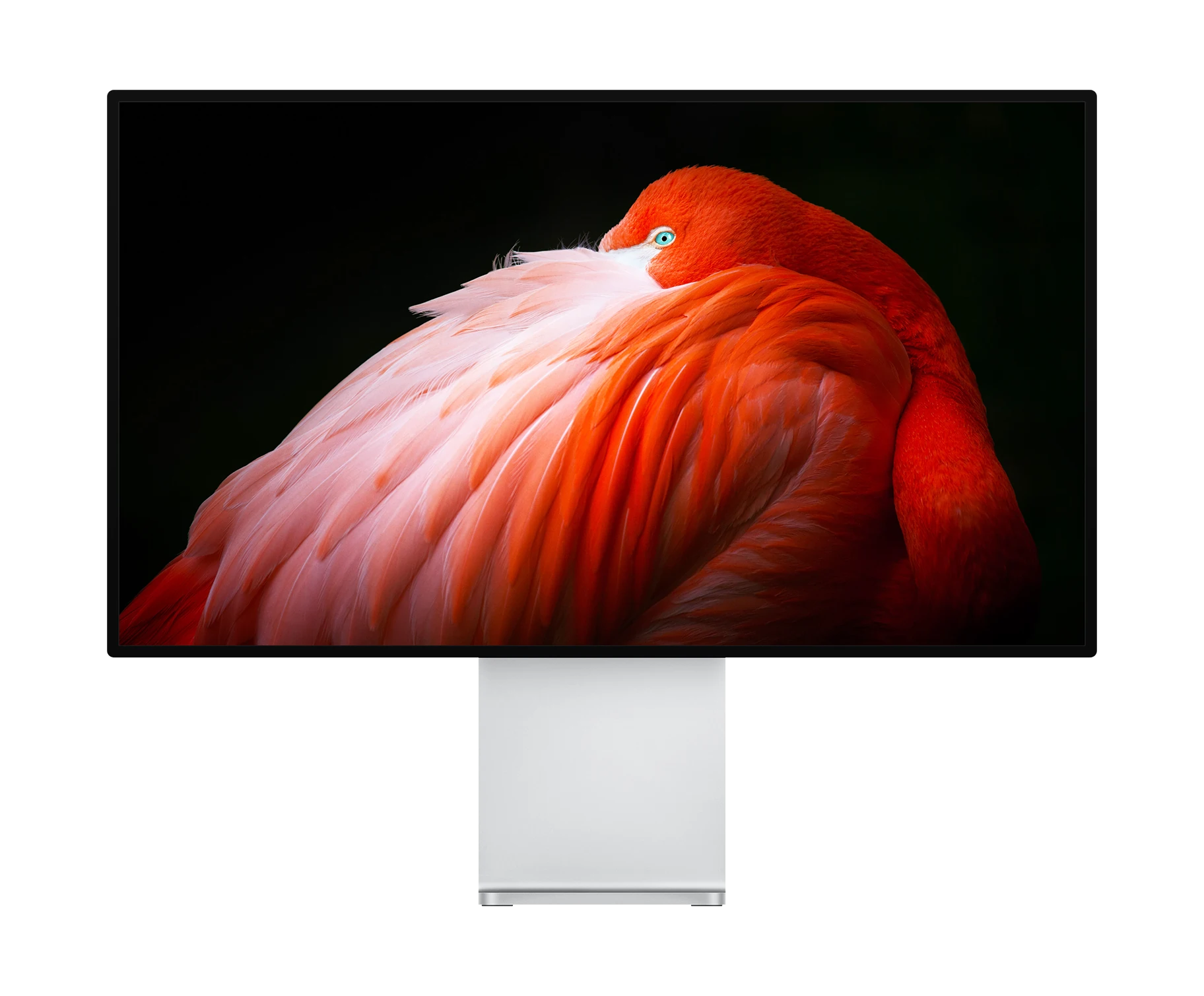 Range of professional monitors available to purchase