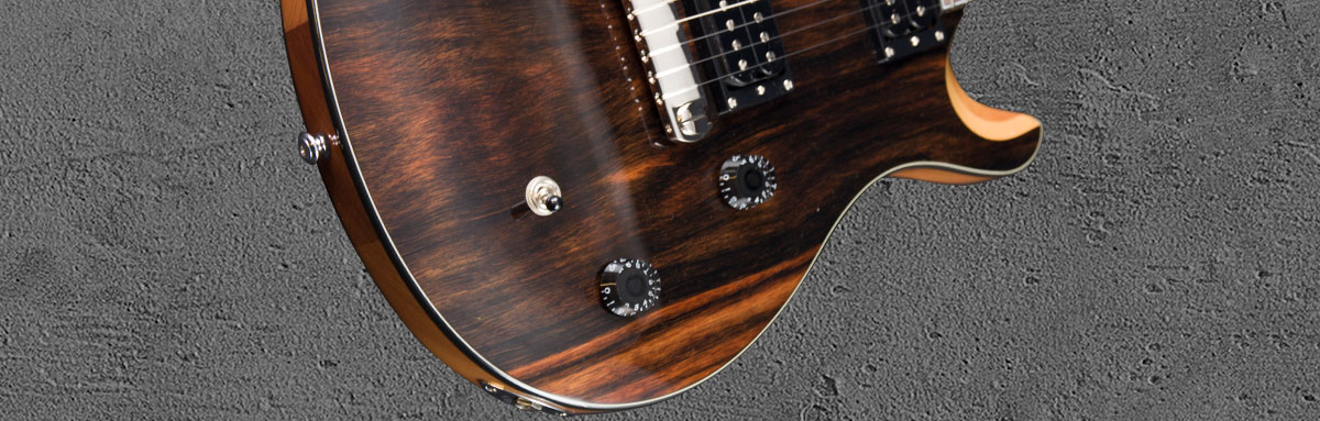 PRS SE Custom 22 Semi-hollow Soapbar Ltd Run NAEB2