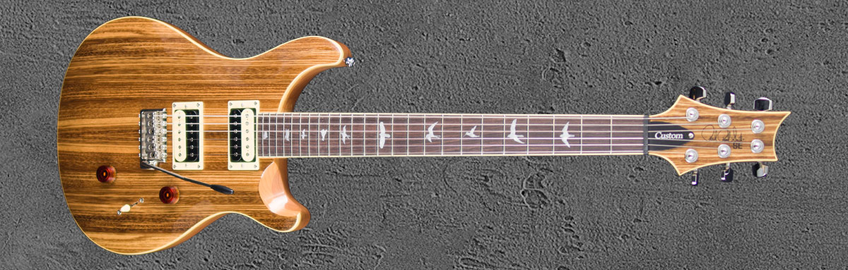 PRS SE Custom 24 NASA2