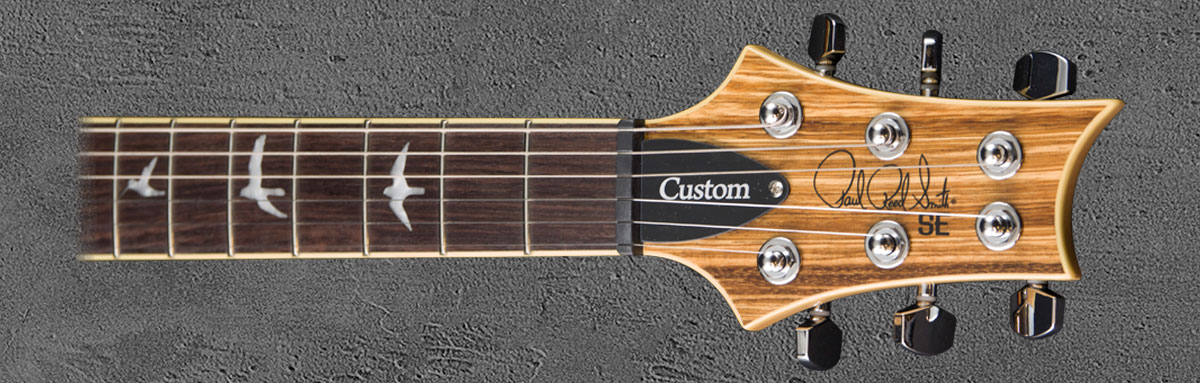 PRS SE Custom 24 NASA2