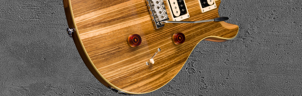 PRS SE Custom 24 NASA2