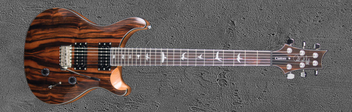 PRS SE Custom 24 NAEB2 Ebony