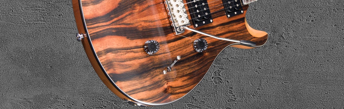 PRS SE Custom 24 NAEB2 Ebony