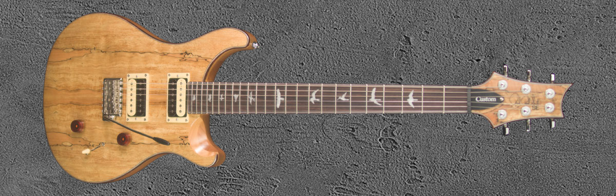 PRS SE Custom 24 NASA2