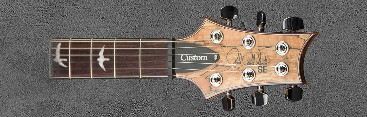 PRS SE Custom 24 NASA2