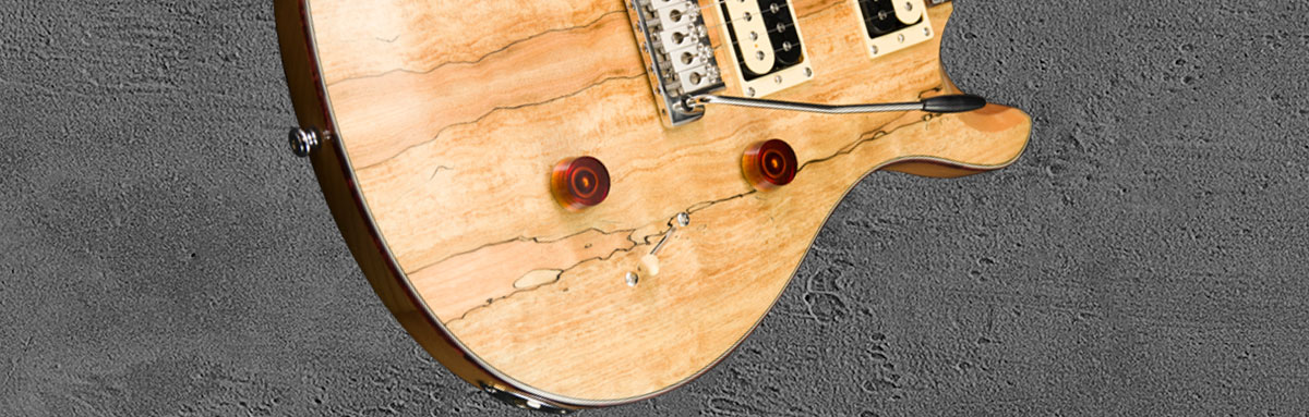 PRS SE Custom 24 NASA2