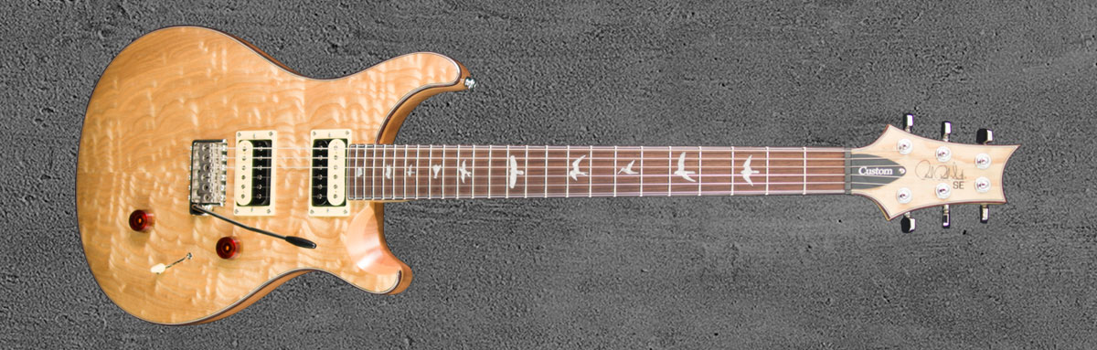 PRS SE Custom 24 NASA2