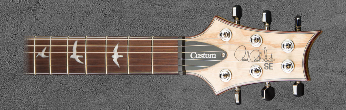 PRS SE Custom 24 NASA2