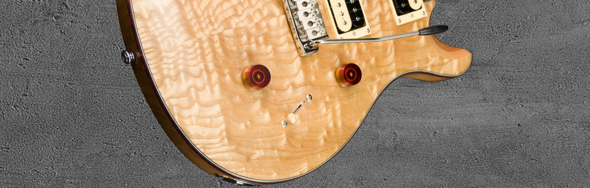 PRS SE Custom 24 NASA2