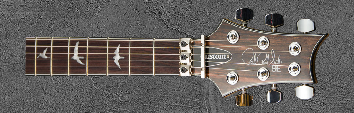 PRS SE Custom 24 Floyd