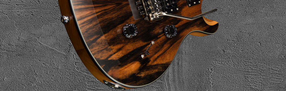 PRS SE Custom 24 Floyd