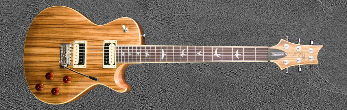 SE Tremonti Custom NAZE2