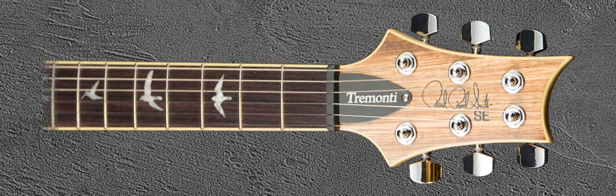 SE Tremonti Custom NAZE2