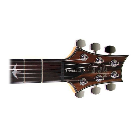 SE Tremonti Custom NAEB2 Headstock