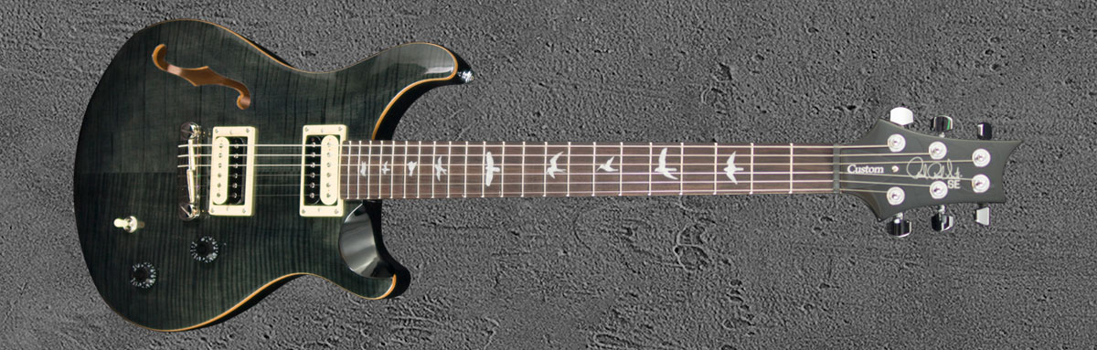 PRS SE Custom 22 GB