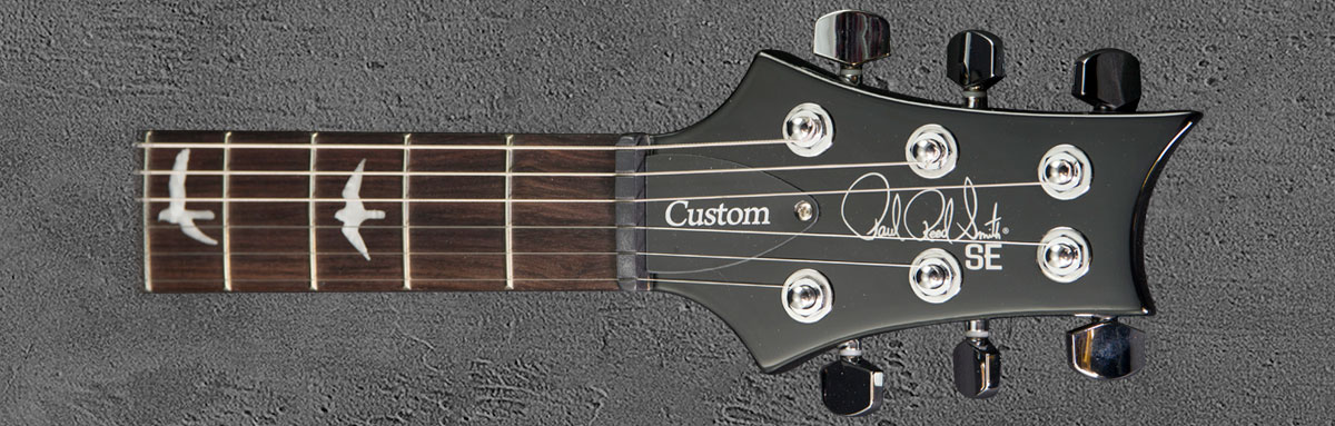 PRS SE Custom 22 GB