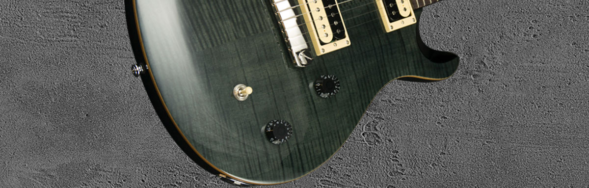 PRS SE Custom 22 GB