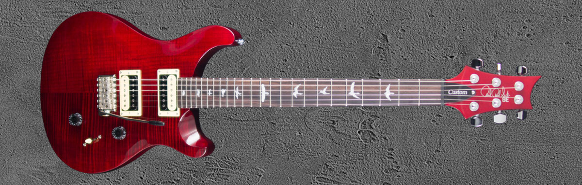 PRS SE Custom 24 SR
