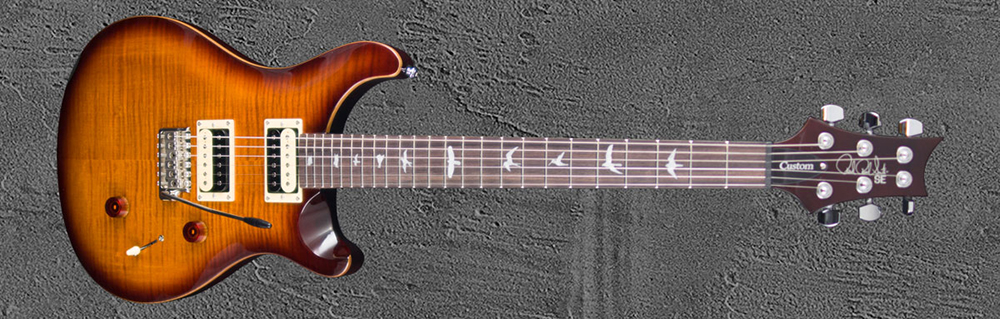 PRS SE Custom 24 TS