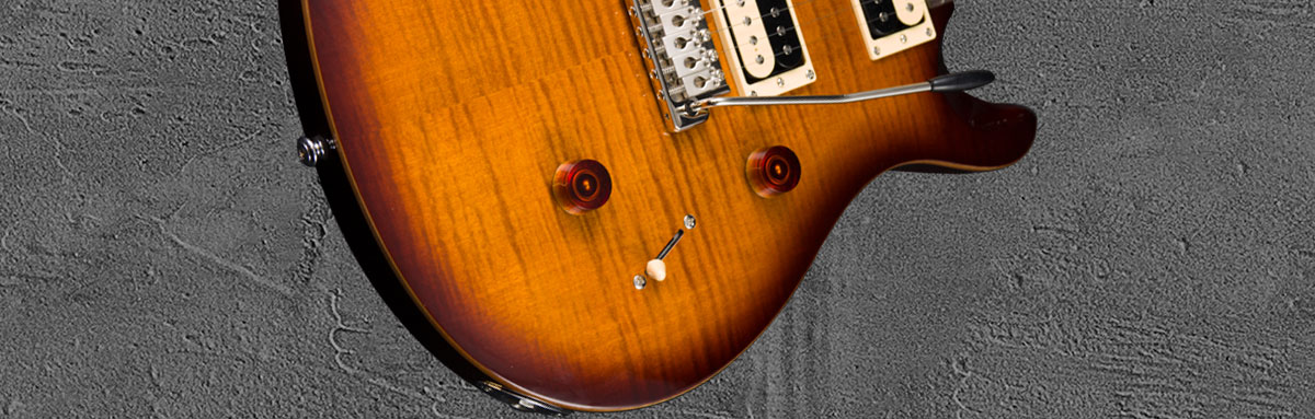 PRS SE Custom 24 TS