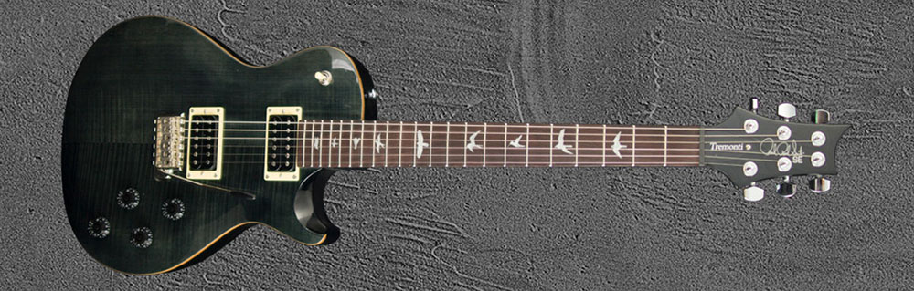 PRS SE Custom