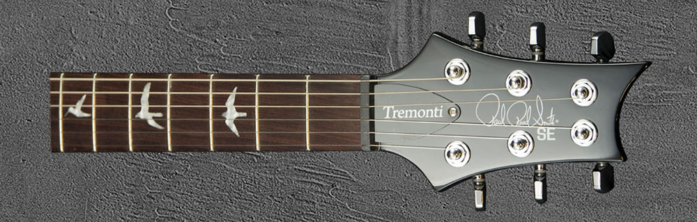PRS SE Custom