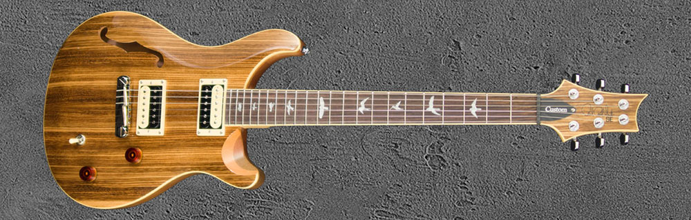 PRS SE Custom 22 NAZE2