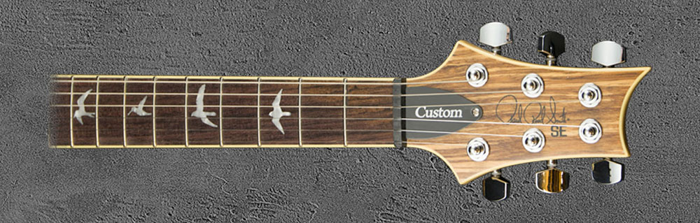 PRS SE Custom 22 NAZE2