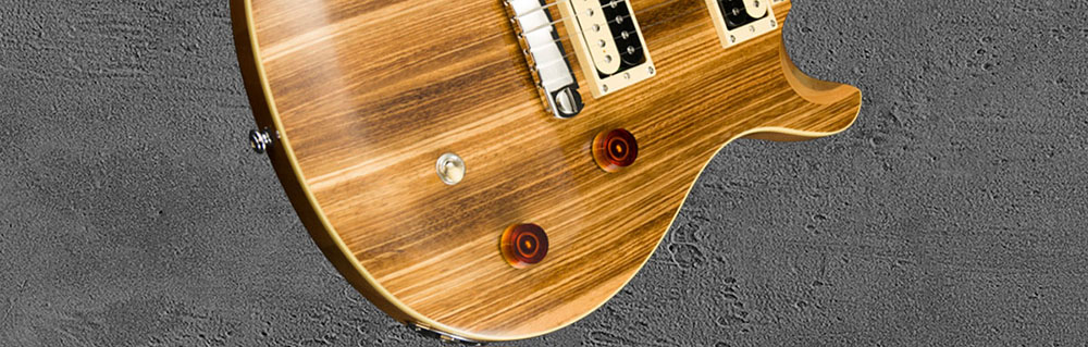 PRS SE Custom 22 NAZE2