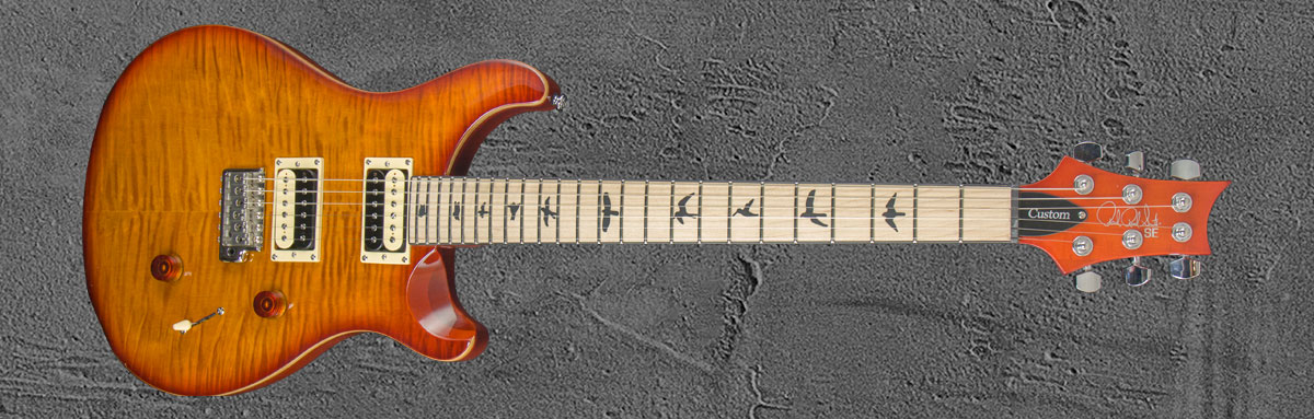 PRS SE Custom 24 VS