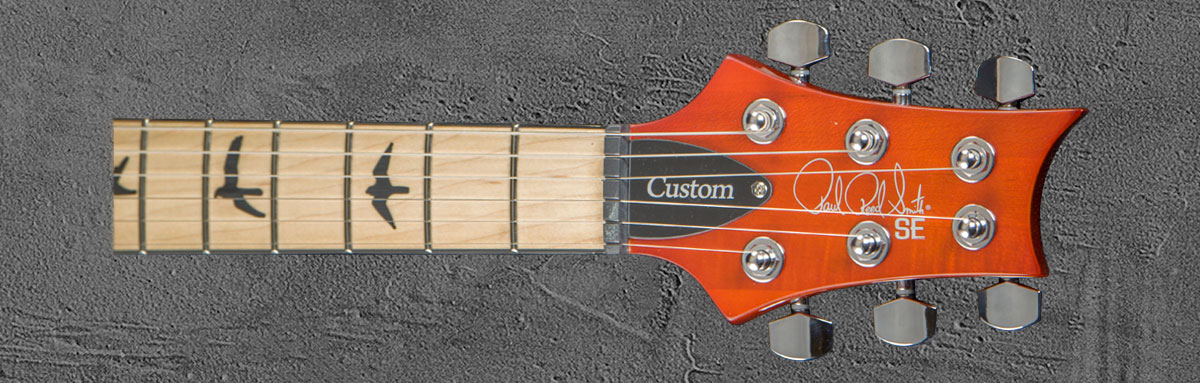 PRS SE Custom 24 VS