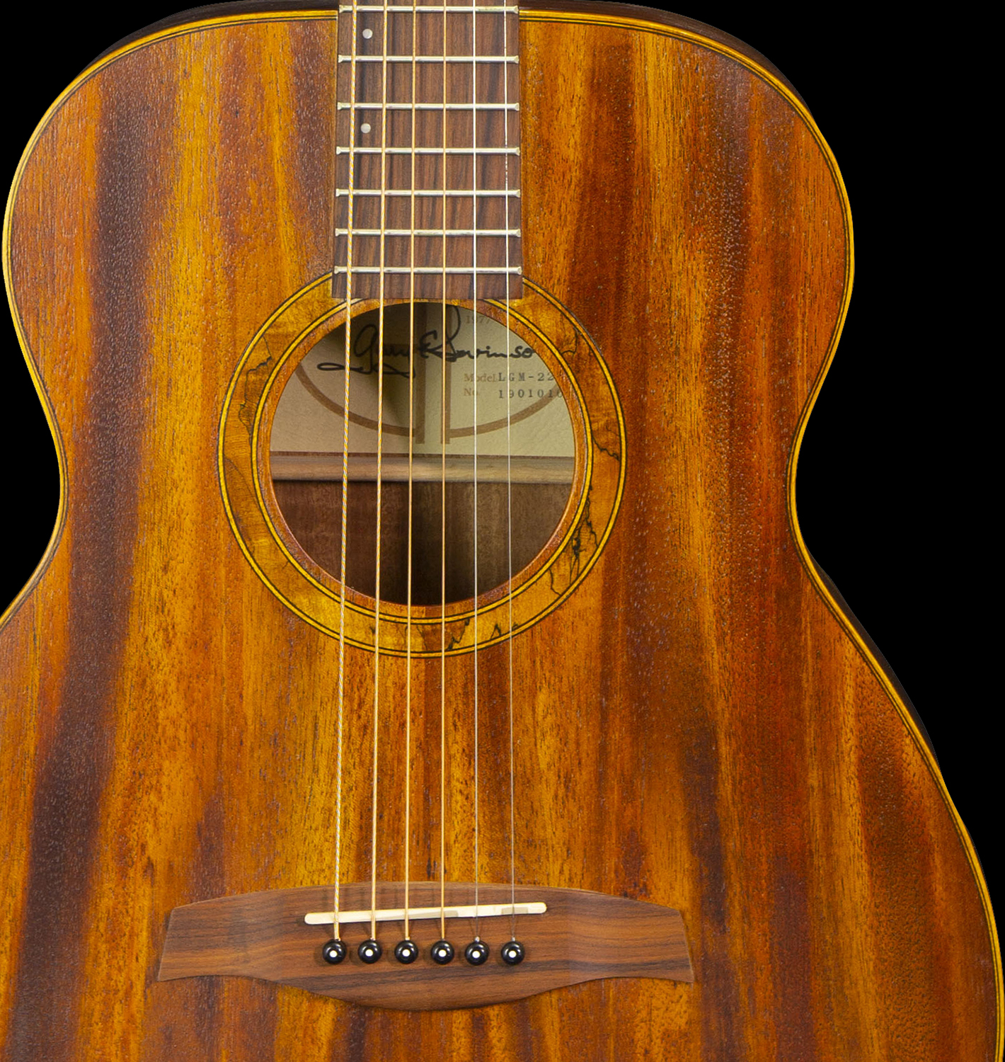 Levinson Acoustic LGM-222 Close-Up